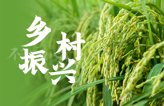 关于乡村振兴最接地气的解读
